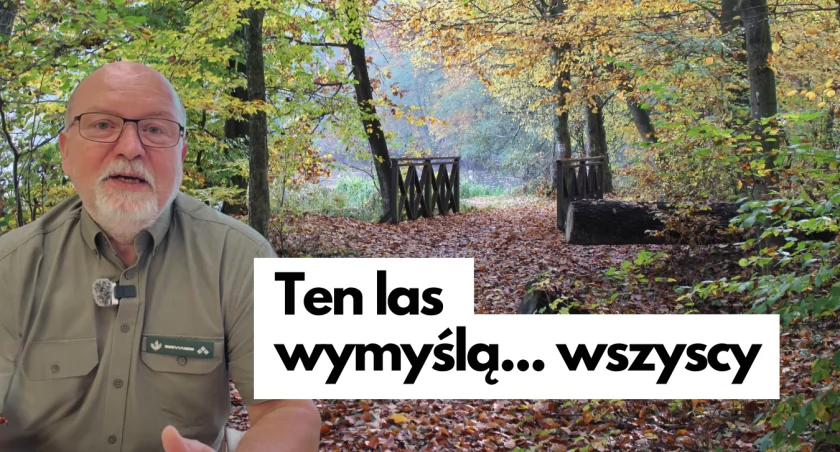 Ruszą zmiany po drugiej stronie jeziora. Las dla wszystkich