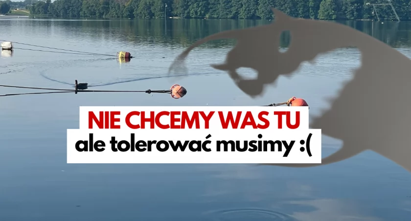 Bakterie witają po przerwie. Zakaz kąpieli