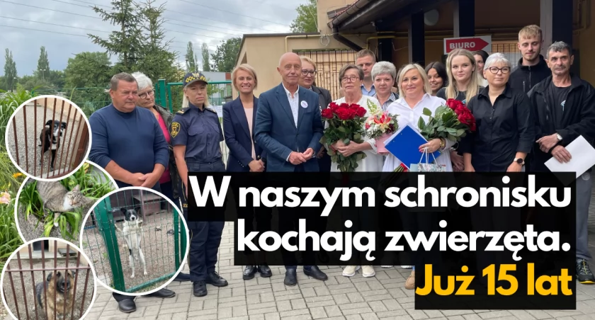 Zwierzęta mają tu opiekę i schronienie. Schronisko w Szczecinku świętuje 15 lat!