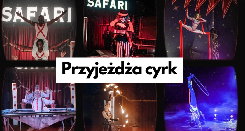 Cyrk Safari w Szczecinku. Rezerwuj sobotnie popołudnie