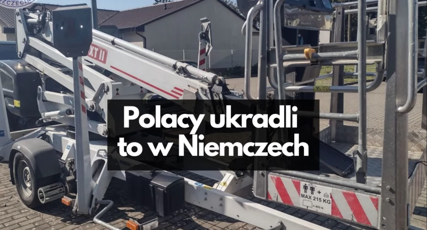 Ginie w Niemczech, odnajduje się w Polsce