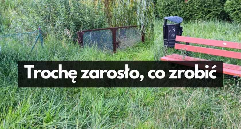 Plac zabaw z trawą po pas