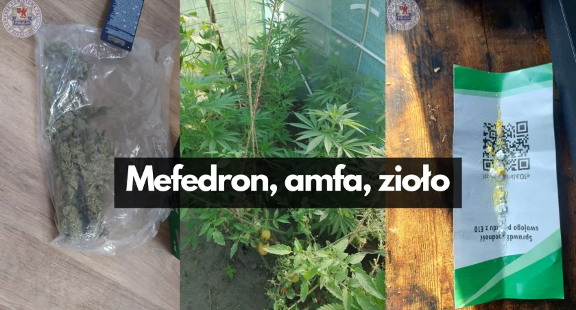 Amfa, zioło, mefedron. Policjanci zaczaili się na właściciela 