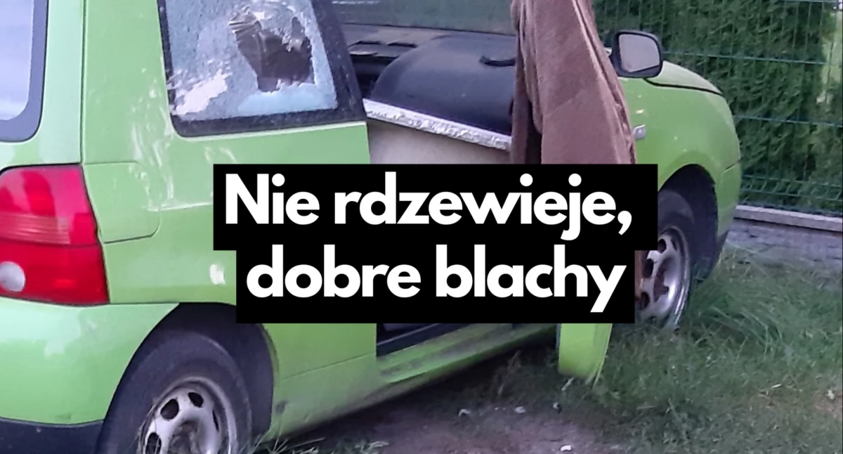 Kwitnie jak VW na trawniku