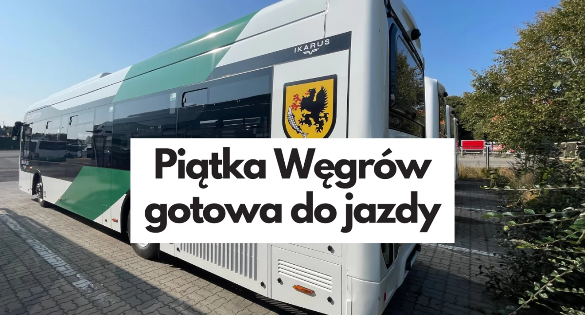Ikarusy już w tym tygodniu