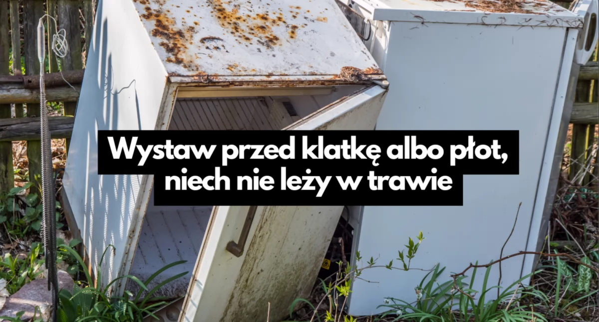 Graty out. Kolejna bezpłatna zbiórka odpadów