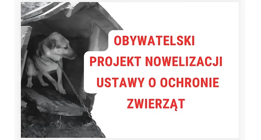 Pomóż chronić zwierzęta, wesprzyj ustawę