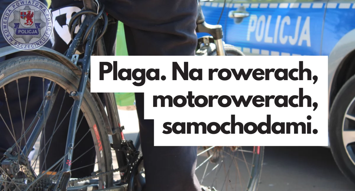Nasi wspaniali kierowcy. Wypici, po narkotykach