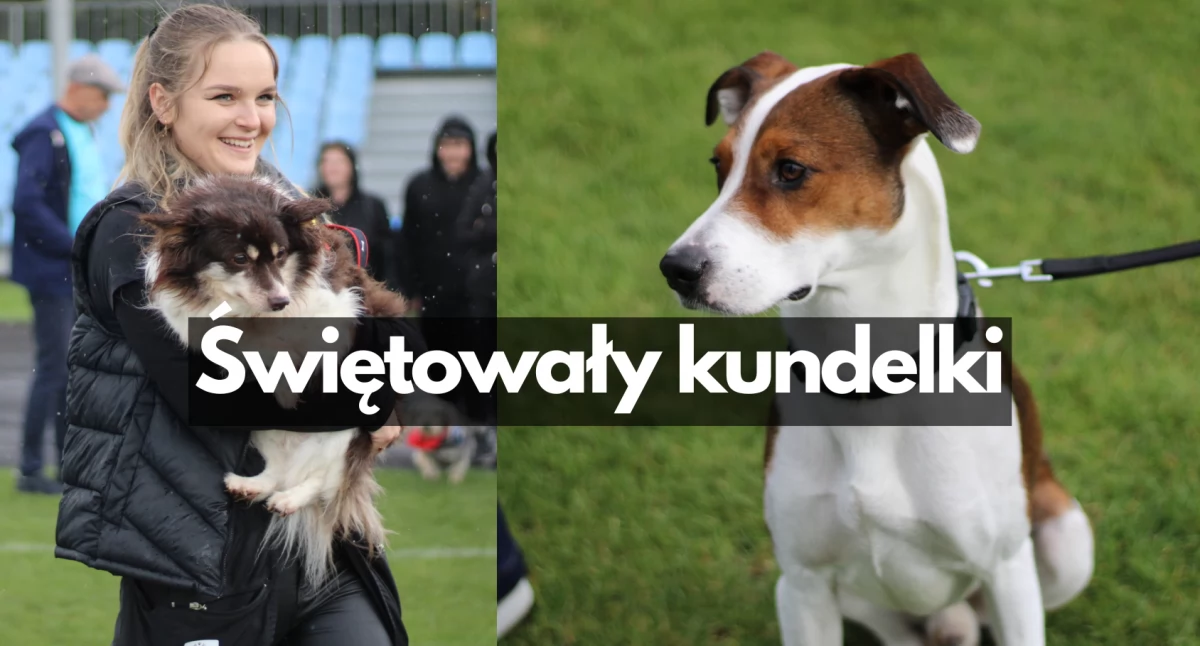 To była pierwsza Wystawa Psów Nierasowych w Szczecinku