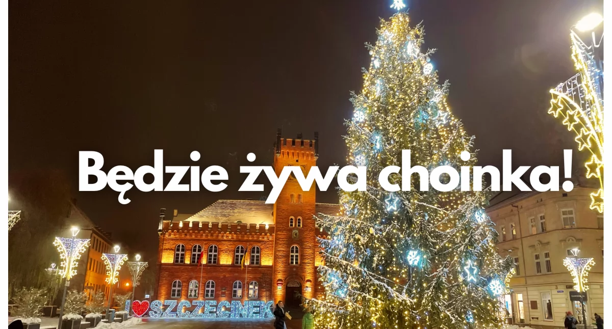 W tym roku na placu ponownie prawdziwa choinka!