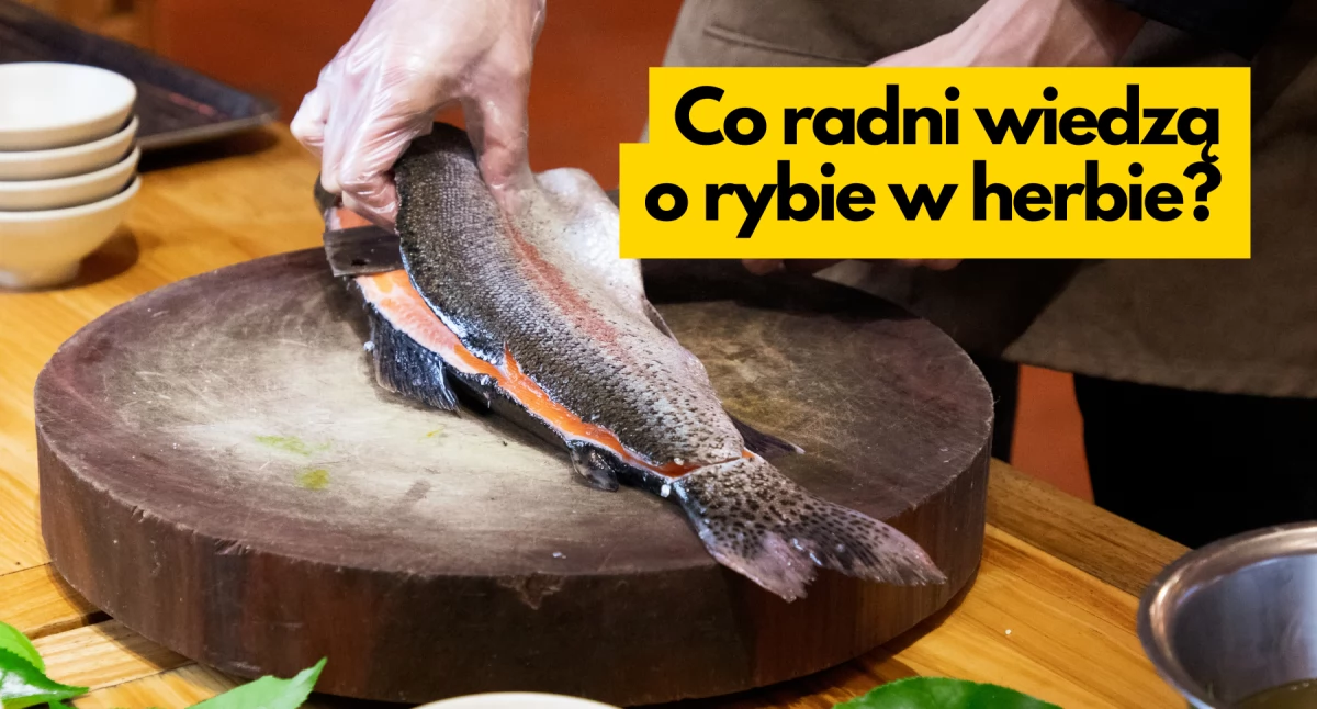 Sonda #5. Radni kontra herb: co trzyma gryf?
