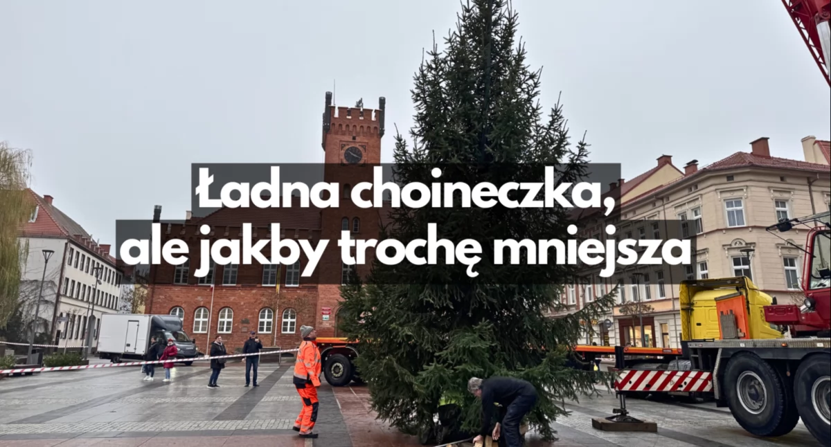 Wjechała choinka! Malutka, śliczniutka i skromniutka