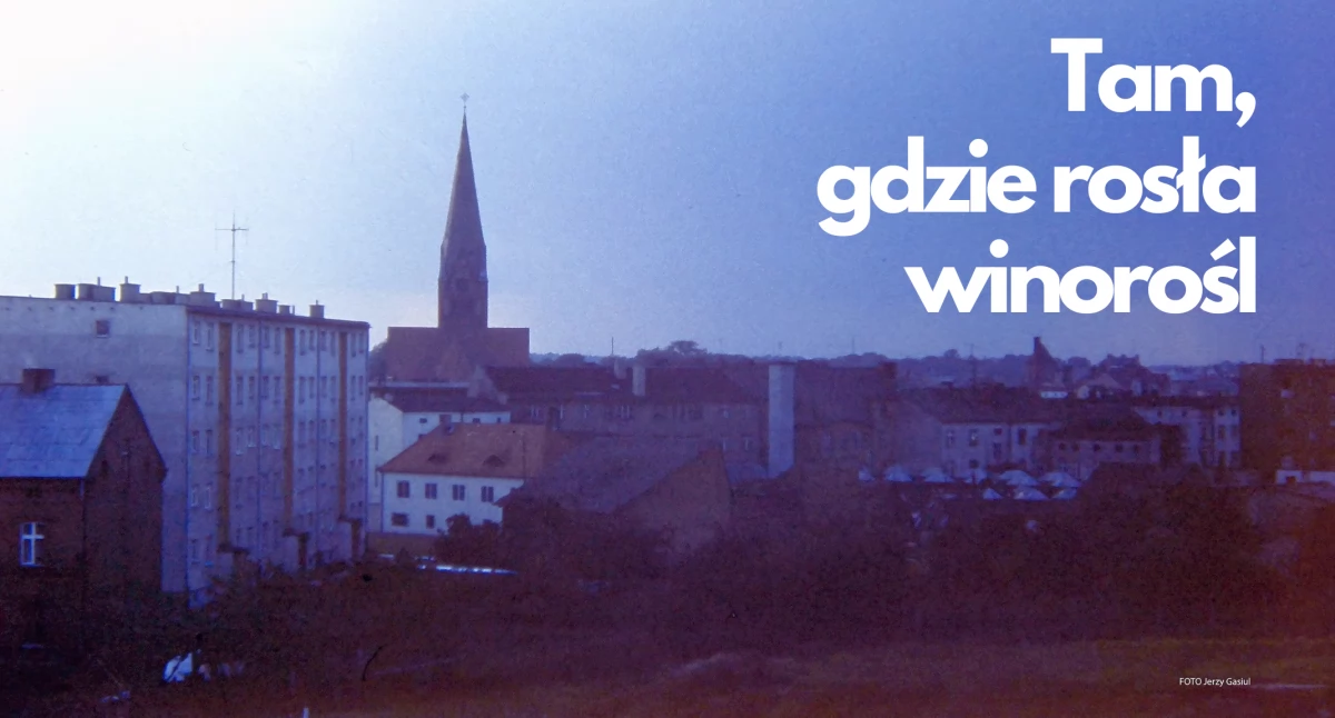 Tam, gdzie rosła winorośl