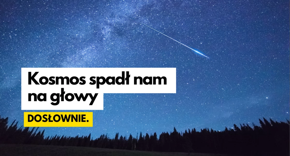 Meteoryt nad Szczecinkiem. Spadł w lesie