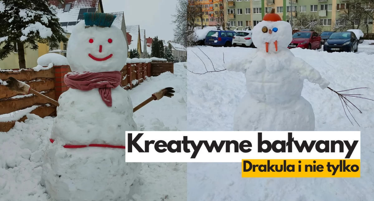 Szczecineckie bałwany. Ale takie prawdziwe