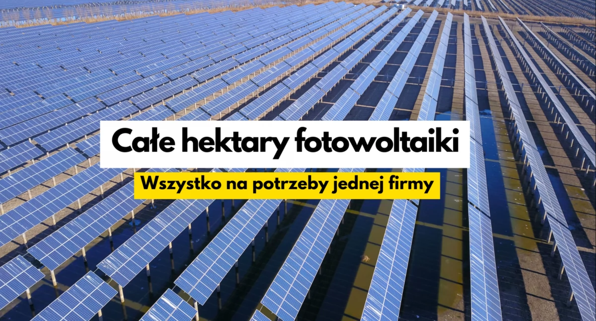 Wielka farma fotowoltaiczna, wielki plan Kronospanu