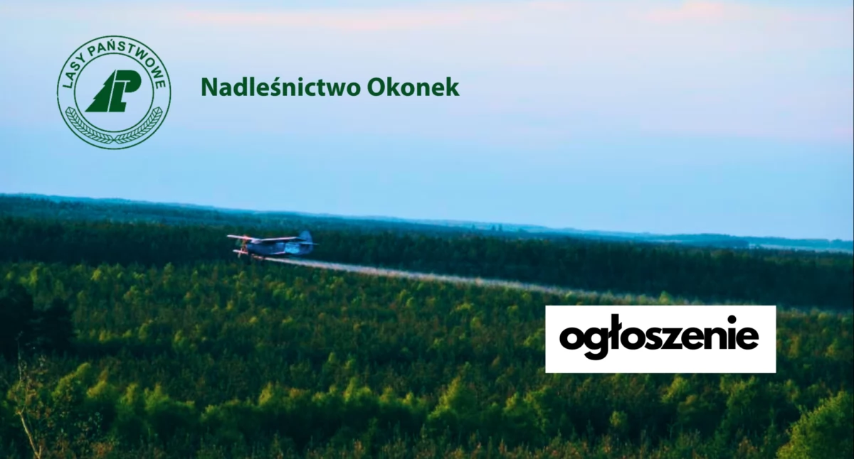 Nadleśniczy Nadleśnictwa Okonek ogłasza