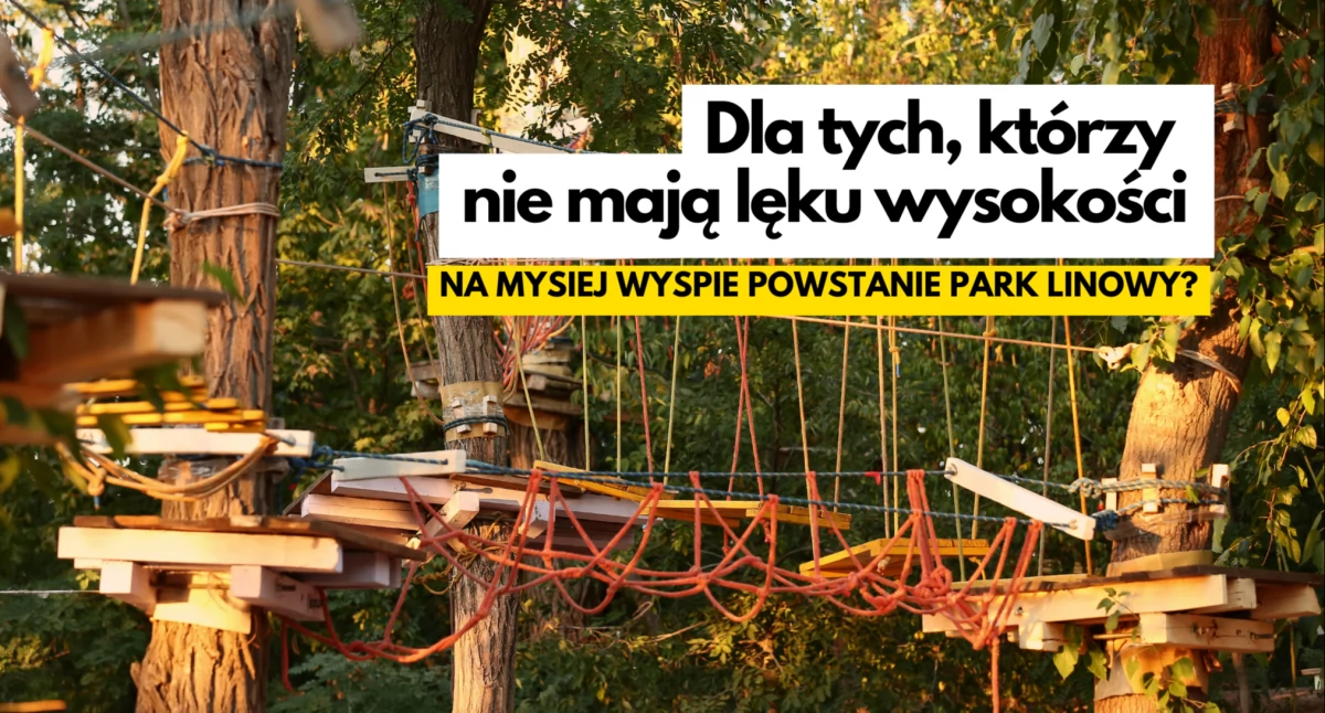 Z głową w drzewach. Czy na Mysiej Wyspie będzie park linowy?