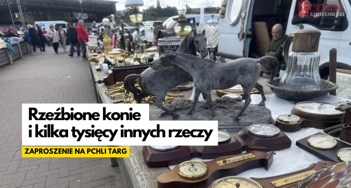 Pchli targ. Pora na niedzielne łowy