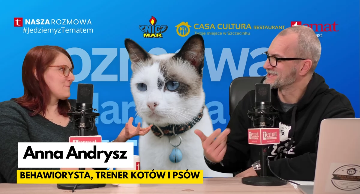 Kot w domu – współlokator, czy władca?