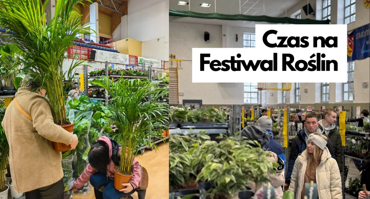 Wiosenna edycja Festiwalu Roślin w Szczecinku! 