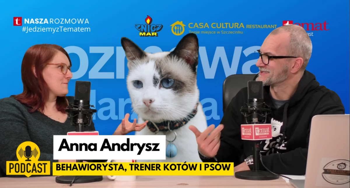 Anna Andrysz. Kot w domu – współlokator, czy władca? [posłuchaj]