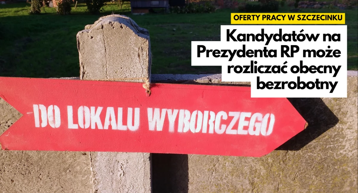 Bezrobotny może zostać urzędnikiem. I to wyborczym