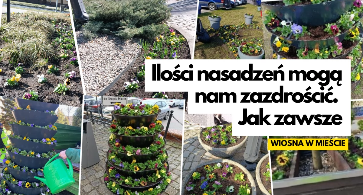 Plan na ukwiecone miasto. U nas jak zawsze z rozmachem