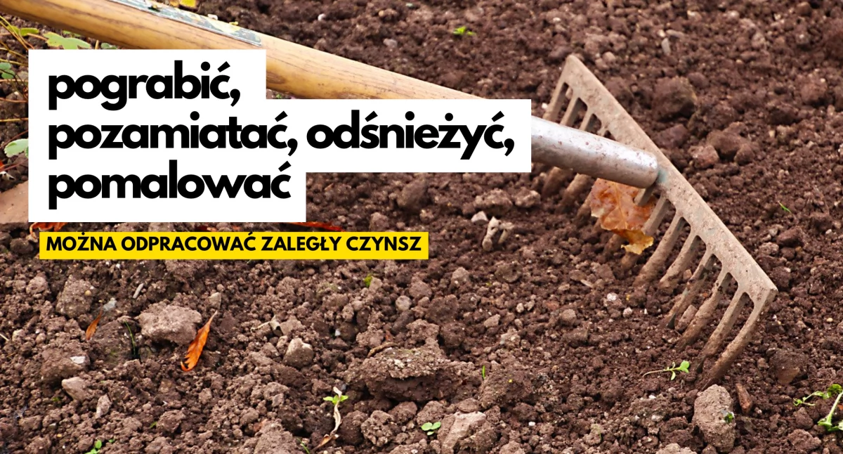 Tak w Szczecinku można spłacić długi. Zamiast płacić zaległy czynsz – odśnieżasz i malujesz