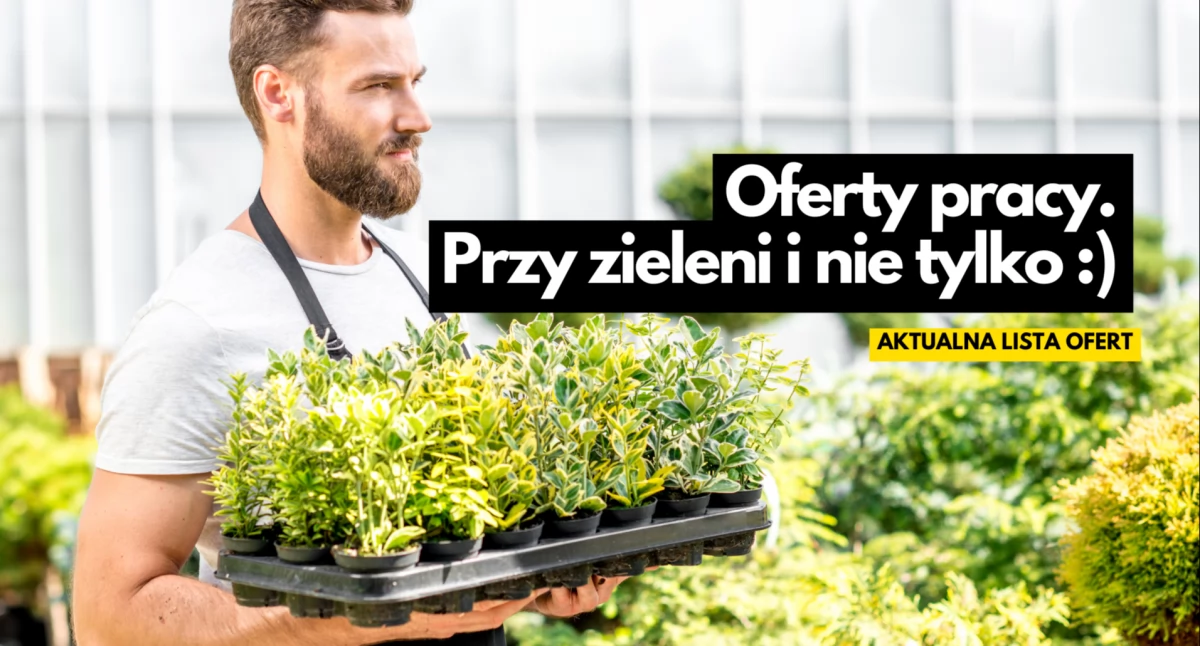 Praca w Szczecinku: pakowacze, księgowe, monterzy, pracownik ogrodu