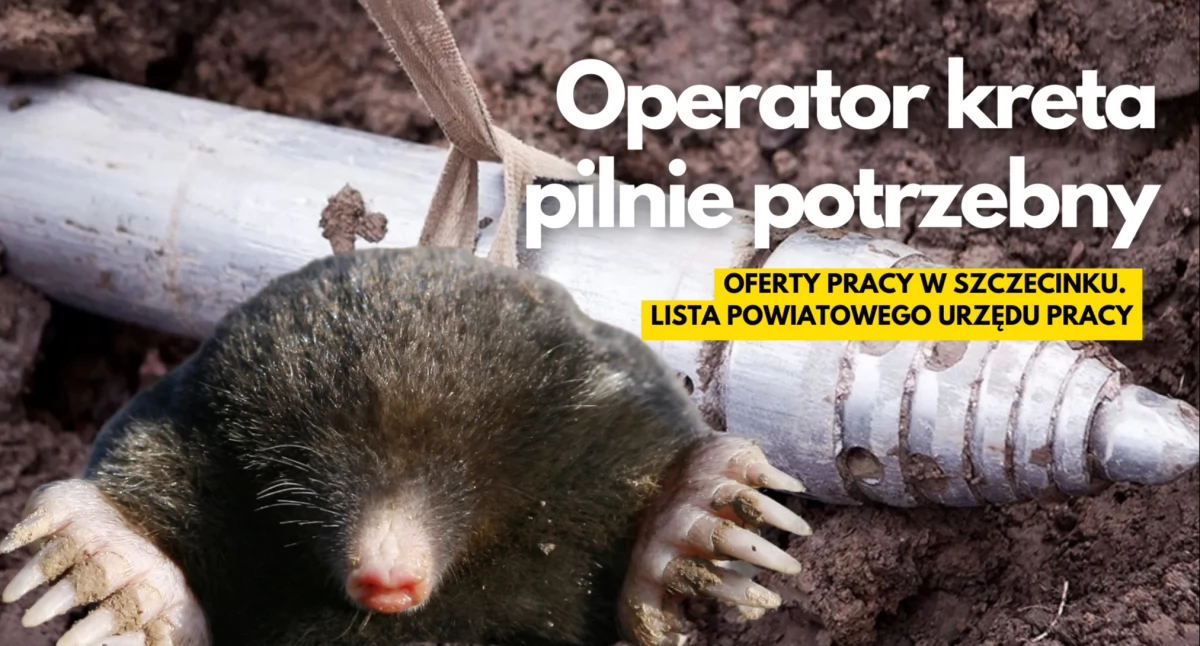Operator kreta w delegacji i inne ciekawe oferty pracy 