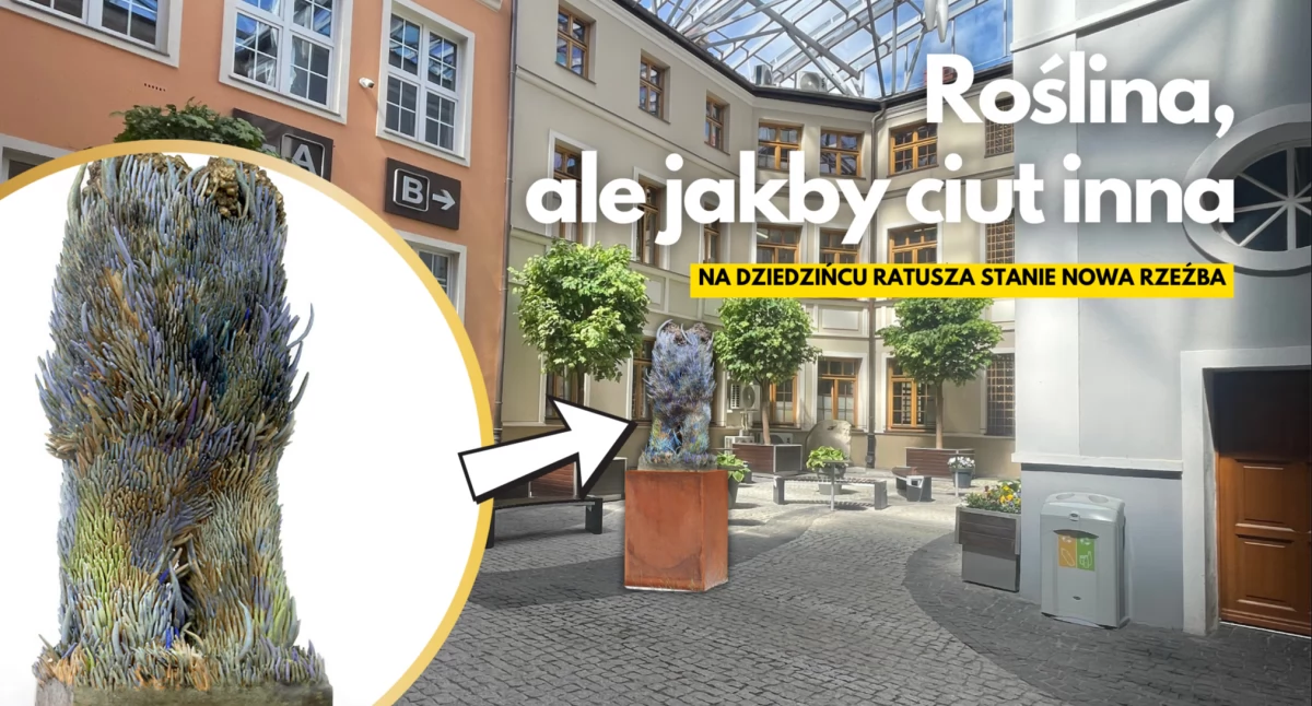 „Roślina” wyrośnie w ratuszu
