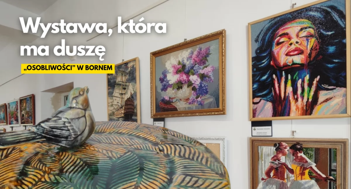 Sztuka z serca, czyli „Osobliwości” z Bornego Sulinowa w bibliotece 