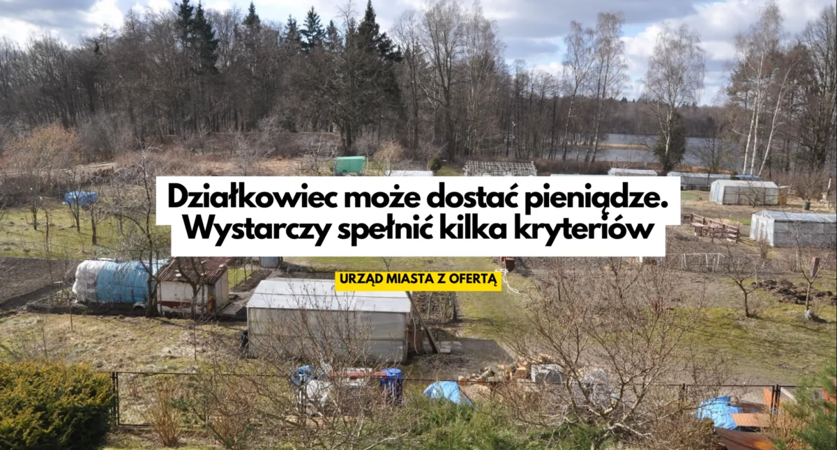 Własny ogród działkowy? Miasto może dać pieniądze