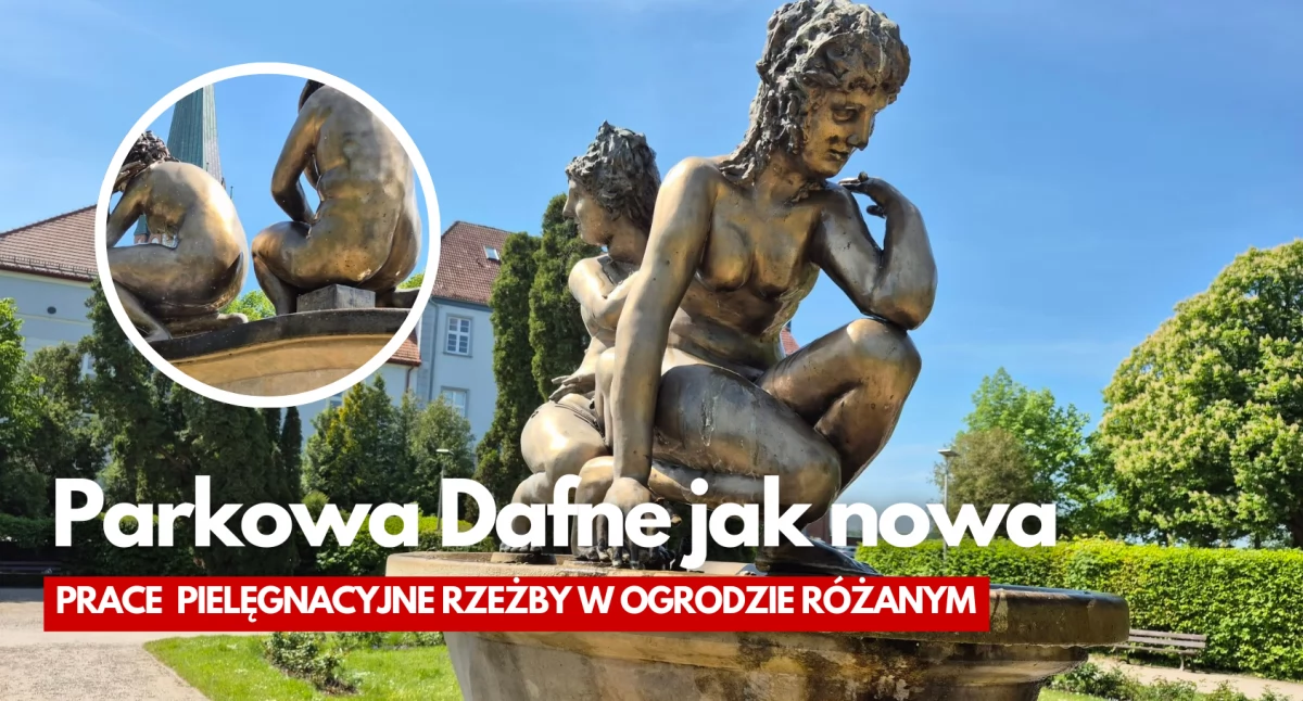 Dafne po kąpieli. Teraz znów widać, że jest złota
