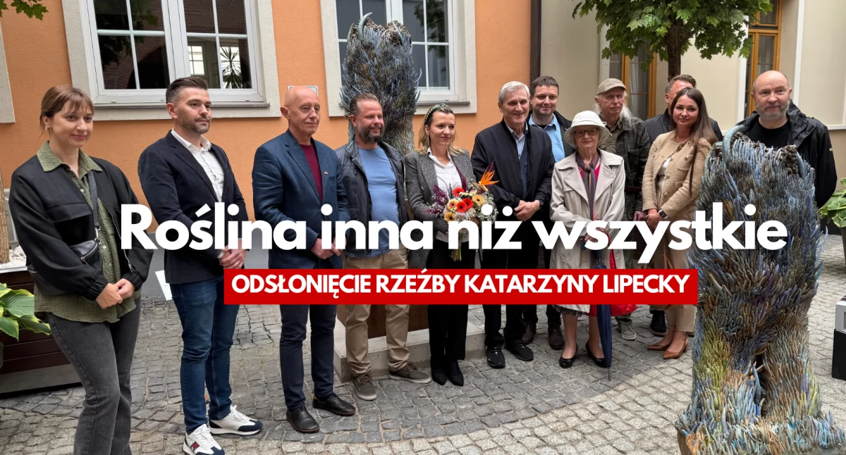 Tej „Rośliny” nie można przegapić. Wyrosła na podwórku ratusza