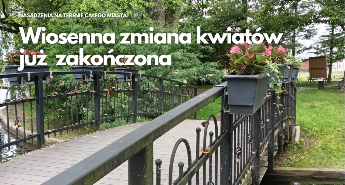 Ponad 5 tysięcy nowych roślin ozdobiło miasto