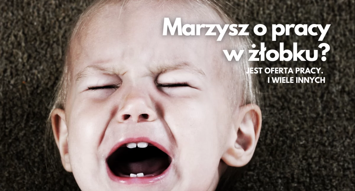 Od stolarni po żłobek, bez doświadczenia, z dyplomem, z orzeczeniem. Oferty pracy w Szczecinku