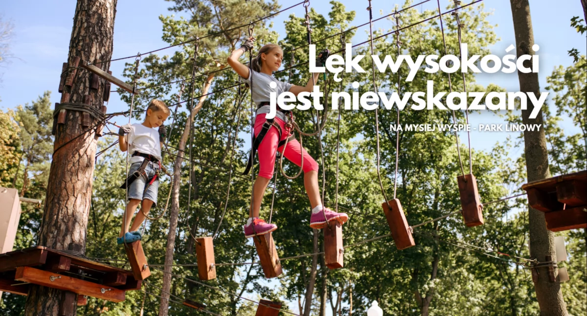Mysia Wyspa z wysokości 6 metrów. Park linowy już za tydzień
