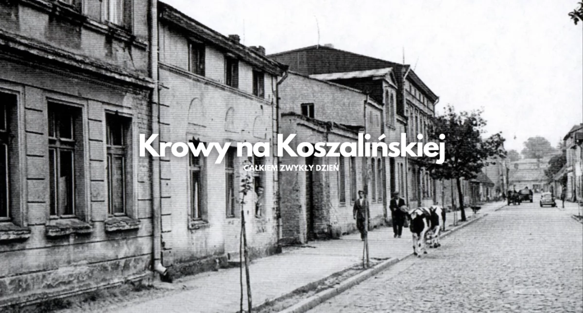 Uliczny krajobraz z krówką w tle 