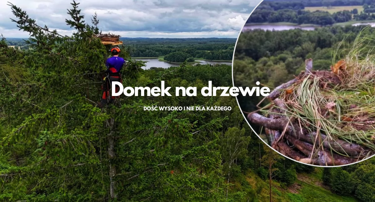 W miejscu tajnym, ale jest. Pierwsza platforma dla rybołowów w Nadleśnictwie Szczecinek