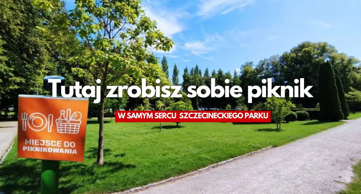 Pikniki, joga i wypoczynek w parku. Jest specjalna strefa!