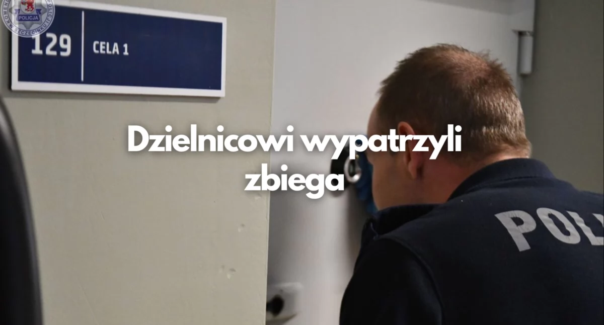 List gończy z listopada go dogonił. Teraz jest w więzieniu