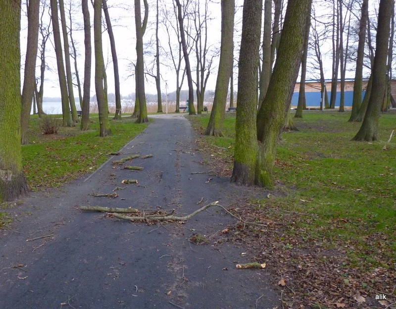 Niespokojna noc z wiatrem - kilkanaście interwencji strażaków (akt.)