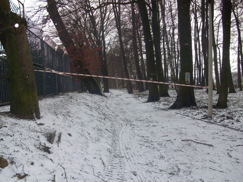 Pracowita sobota strażaków - wiatr wciąż czyni szkody (akt.)