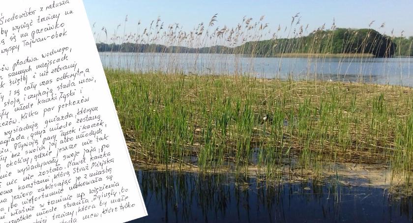 Czytelniczka: Kto odpowie za zagładę kaczek na Trzesiecku?