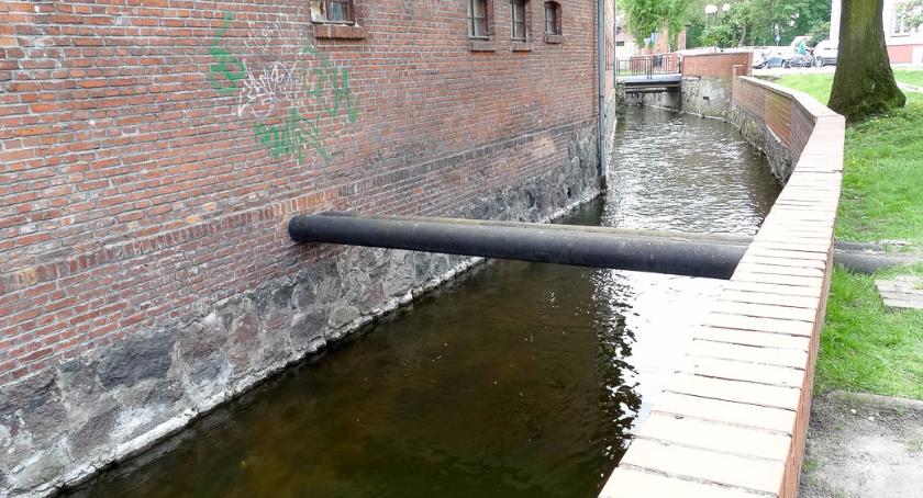 Śniętymi rybami z Niezdobnej zajmie się prokurator