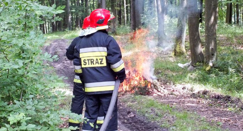 Pożar lasów w Czarnoborze. Wielkie ćwiczenia straży pożarnej