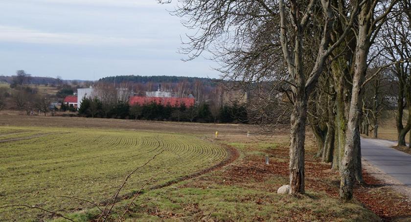 Skotniki ze stacją radarową. Już wiadomo, kiedy będzie pracowała