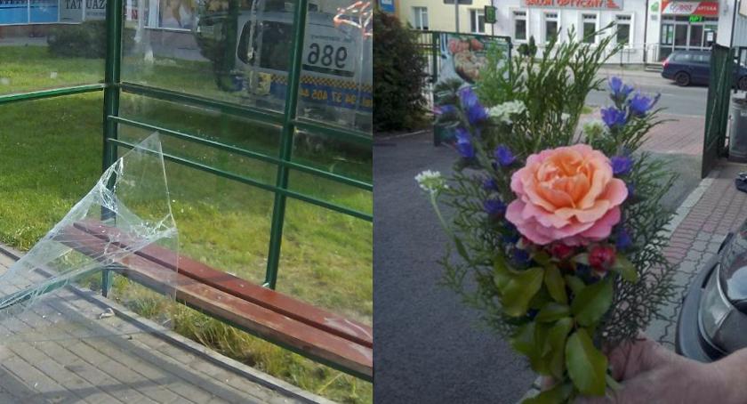 Pijany dziadek na ulicy z wnuczkiem. Pszczoły się roją, zakochany kradnie róże z ronda